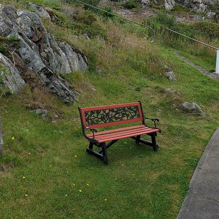 Hillside Cottage 1 Twillingate Εξωτερικό φωτογραφία