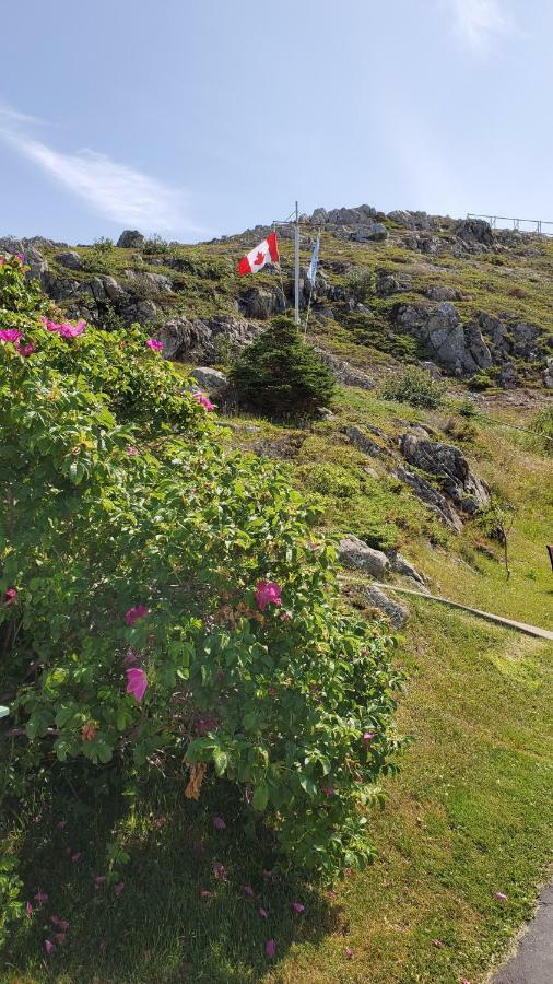 Hillside Cottage 1 Twillingate Εξωτερικό φωτογραφία