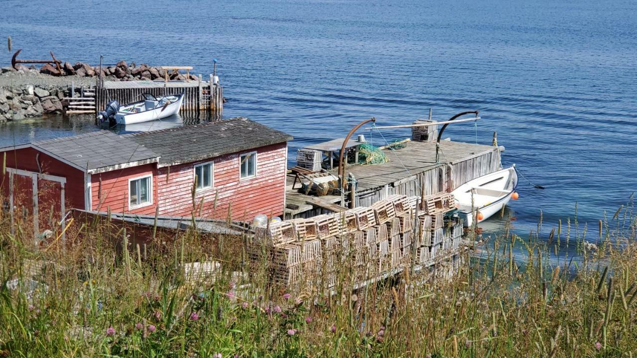 Hillside Cottage 1 Twillingate Εξωτερικό φωτογραφία