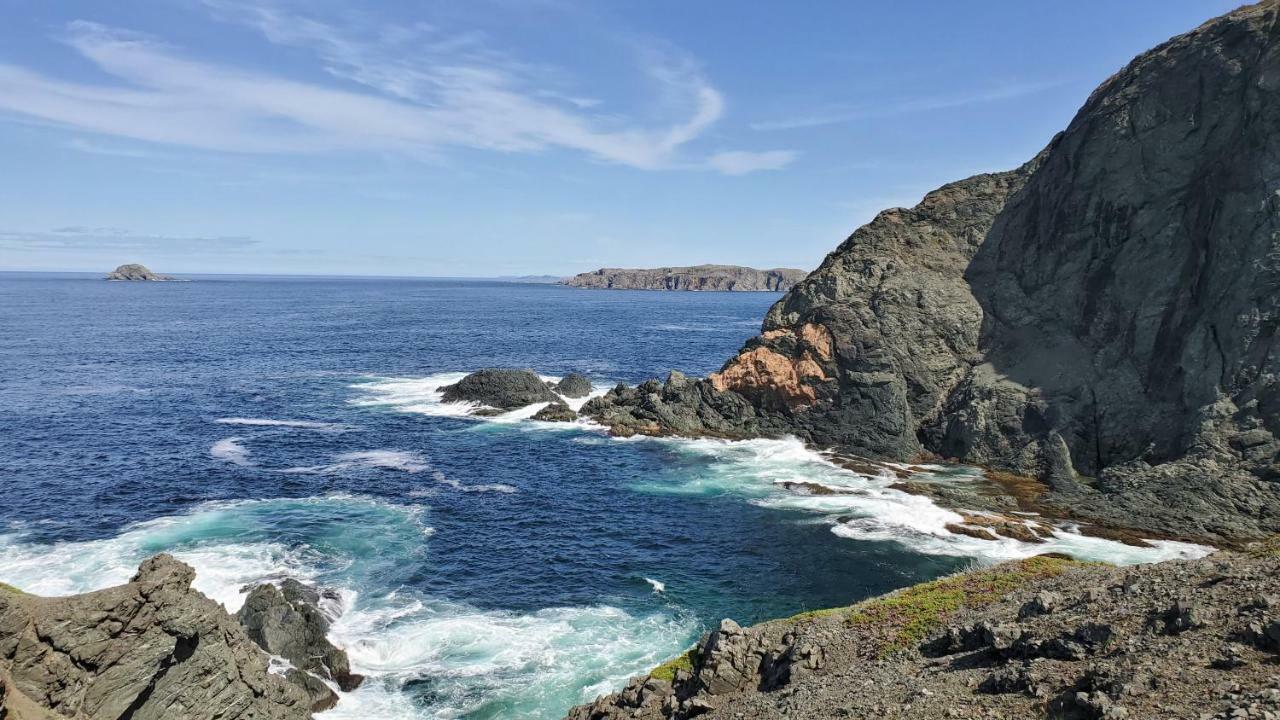 Hillside Cottage 1 Twillingate Εξωτερικό φωτογραφία